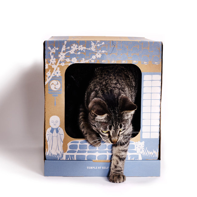 litiere chat jetable toilettes