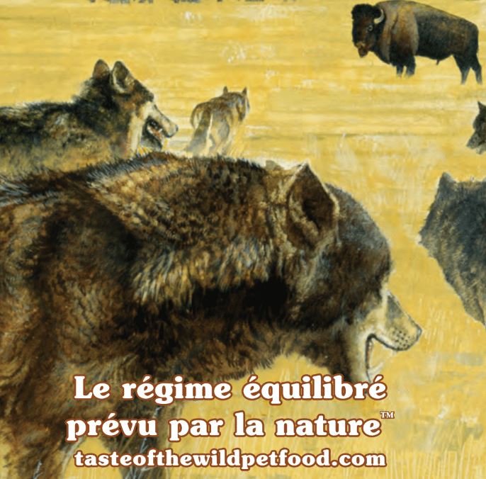 Taste of the Wild, le régime équilibré prévu par la nature