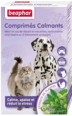 Solutions naturelles contre l'anxiété et le stress chez le chien et le chiot