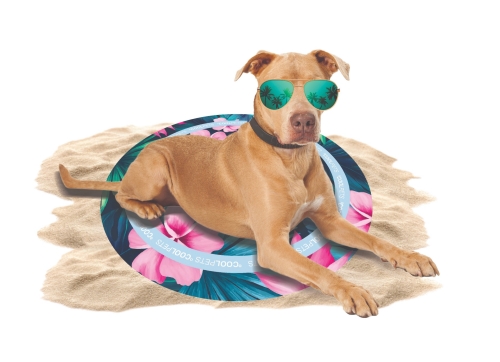 Les dangers de la chaleur pour le chien et le chat Les dangers de la chaleur pour le chien et le chat