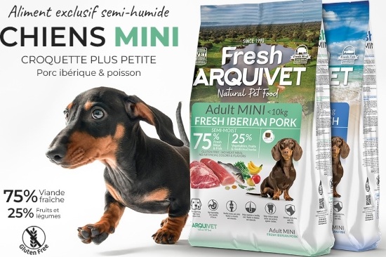 Croquettes semi-humides pour chien : avantages, usages et conseils