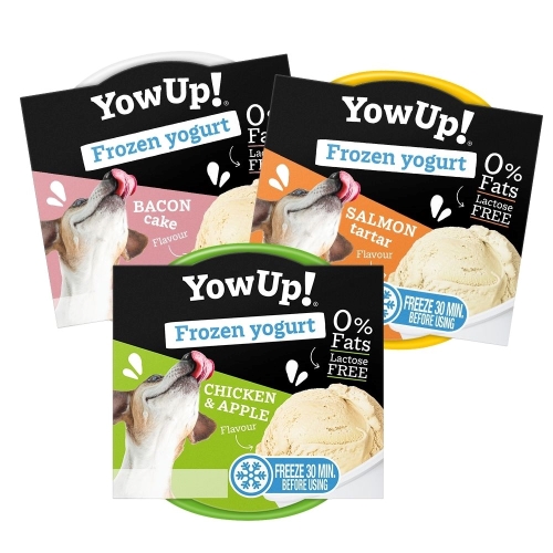 Découvrez les yaourts glacés YowUp pour chat et chien