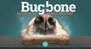 BUGBONE