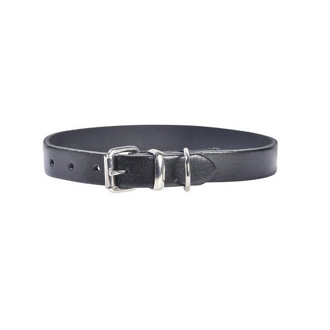 Collier pour chien Nickelé Collier pour chien Nickelé