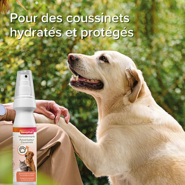 Crème de Protection des coussinets chien et chat 50 ml - Chien -  Animal.Compagnie