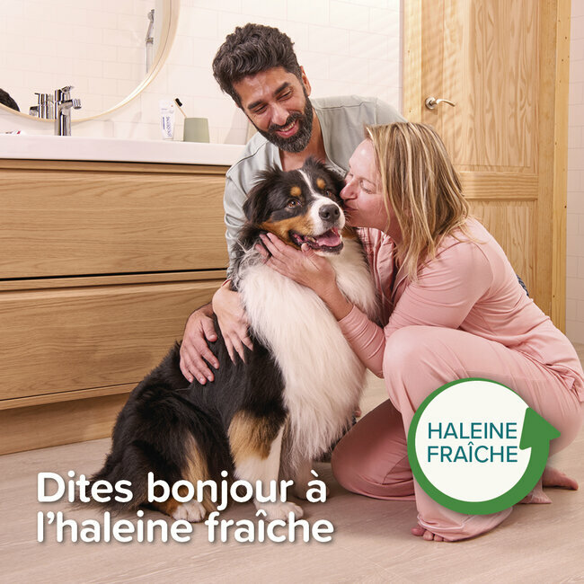 Brosse à Dents En Bambou Pour Chien Et Chat - Double Tête, Poils De Différentes Tailles, Manche En Bambou FSC, Soin Bucco-dentaire