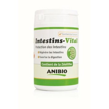 Intestins Vital avec Curcuma chien chat 160 g Anibio