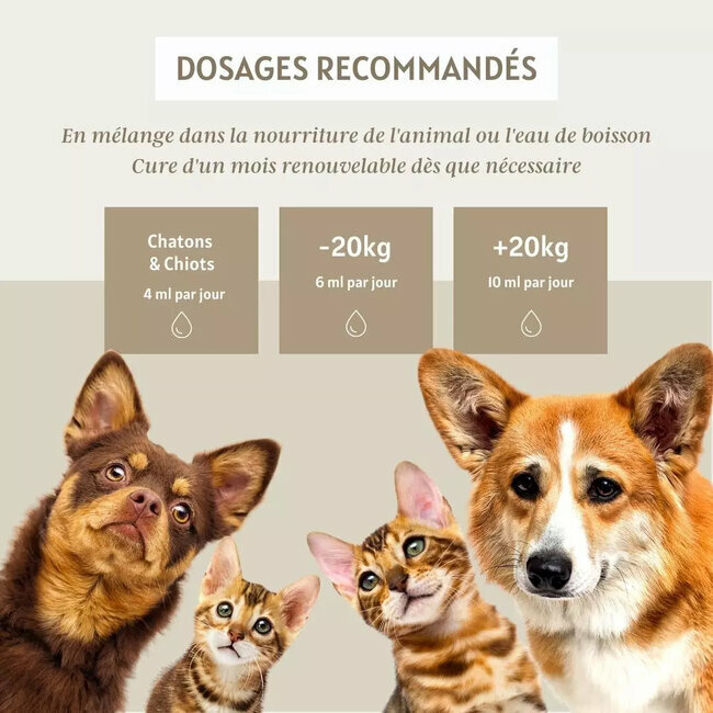 Régulateur de glucose chien chat 200 ml Floralpina