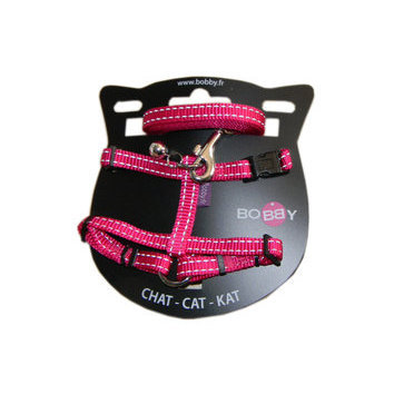 Jouet Panier Toilettage Collerette Tapis Collier Laisse Harnais Et Laisse Pour Chat Albert Le Chien