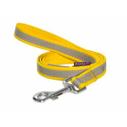 Laisse Cute en nylon deux couleurs pour chien Bobby