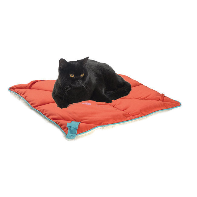 Jouet Panier Toilettage Collerette Tapis Collier Laisse Plaid Double Face Pour Chat Chabada Albert Le Chien