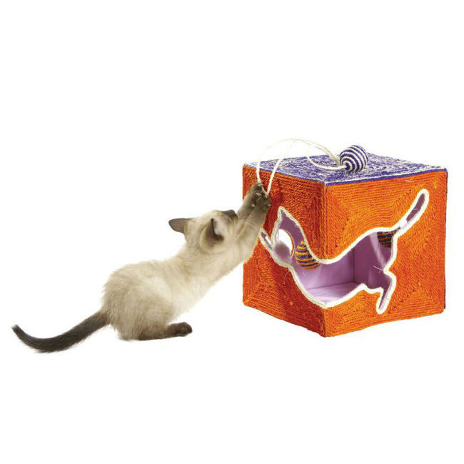 Jouet Panier Toilettage Jouets Naturels Balles Griffoir Griffoir Pour Chat En Sisal Poursuite Albert Le Chien