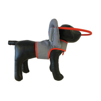 Couchage Accessoires Et Toilettage Brosse Ecuelle Collerette Protection Pour Chien Aveugle Ou Malvoyant Albert Le Chien