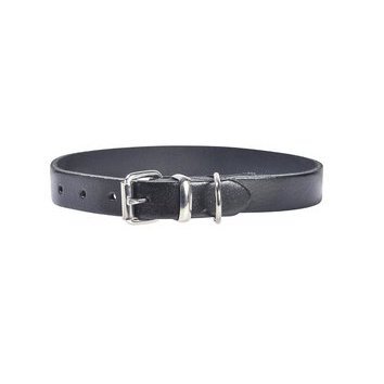 Collier pour chien Nickelé Collier pour chien Nickelé