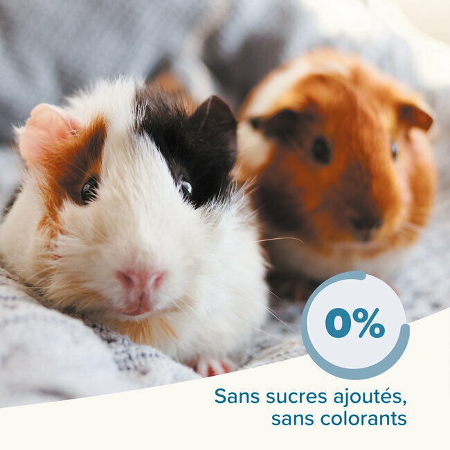 Aliment pour Cochon d'Inde 1.5 kg Beaphar