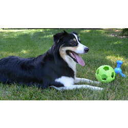 Ballon de football Turbo Kick par Petsports Ballon de football Turbo Kick par Petsports