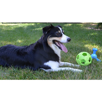 Ballon de football Turbo Kick par Petsports Ballon de football Turbo Kick par Petsports