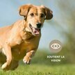 Complexe Vision Renforcée chien et chat 100 g Floralpina