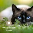 Complexe Vision Renforcée chien et chat 100 g Floralpina