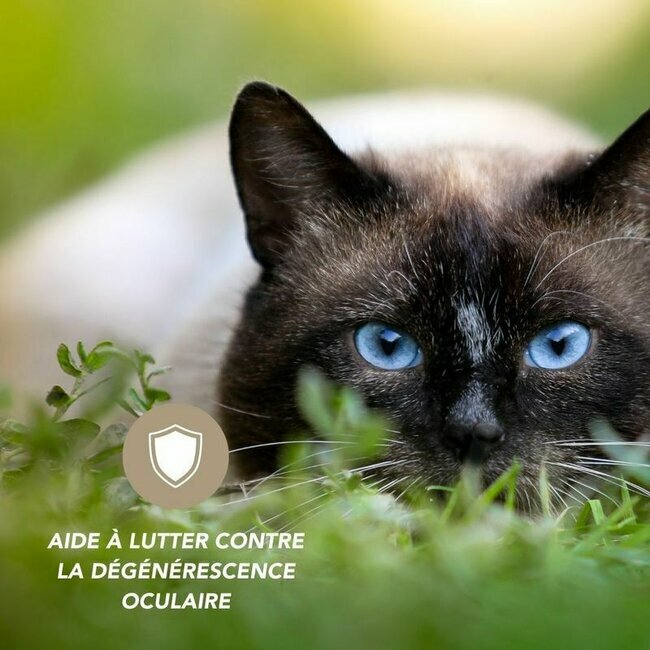 Complexe Vision Renforcée chien et chat 100 g Floralpina