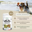 Articulaire Comprimés Articulations chien chat 120 comprimés par Floralpina