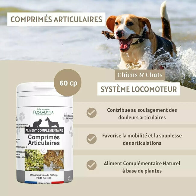 Articulaire Comprimés Articulations chien chat 120 comprimés par Floralpina