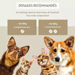 Articulaire Comprimés Articulations chien chat 120 comprimés par Floralpina