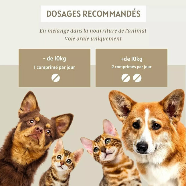 Articulaire Comprimés Articulations chien chat 120 comprimés par Floralpina