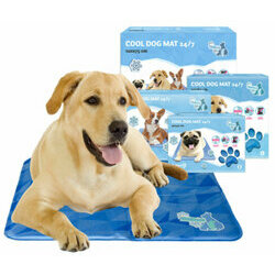 Tapis rafraîchissant pour chien Coolpets