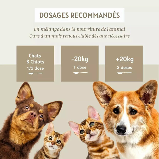 Psyllium Bio chien chat 300 g Floralpina