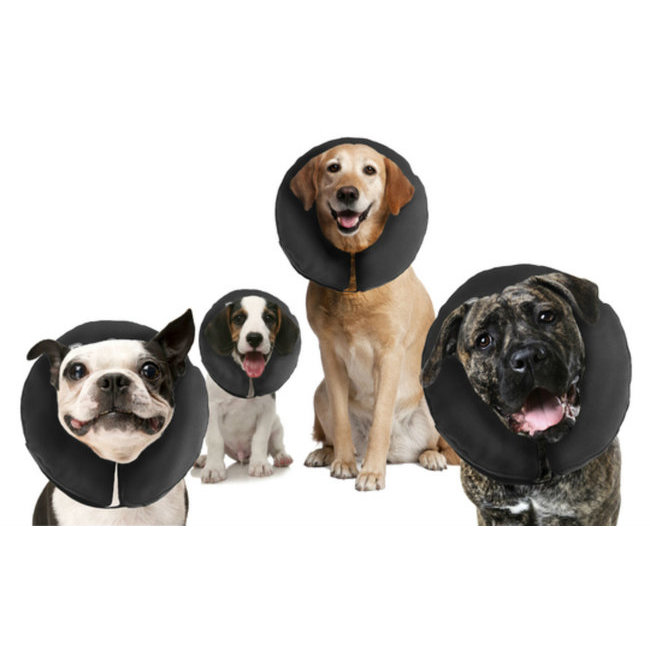 Couchage Accessoires Et Toilettage Brosse Ecuelle Collerette Collerette Gonflable En Tissu Zen Collar Albert Le Chien Couchage Accessoires Et Toilettage Brosse Ecuelle Collerette Collerette Gonflable En Tissu Zen Collar Albert Le Chien