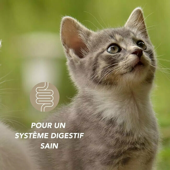 Equilibre Flore Probiotiques chien et chat 100 g Floralpina