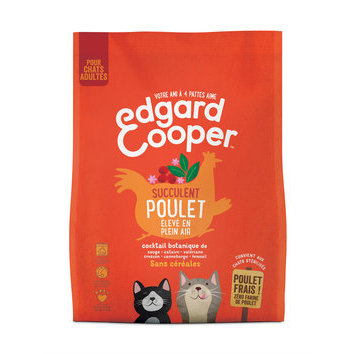 Alimentation Du Chat Croquettes Naturelles Ou Bio Croquettes Chat Adulte Edgard Et Cooper Albert Le Chien