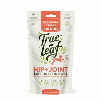 Friandises Articulations chien 50 g True Hemp