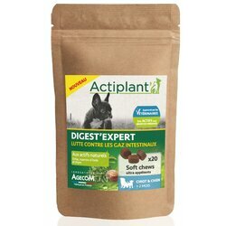 Digest Expert chiot chien x 20 Actiplant