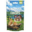 Friandises aux fruits des bois lapin hamsters cochon d'inde - Arquivet