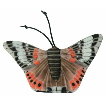 Papillon à l'herbe à chat Red Admiral Butterfly par Holland Animal Care
