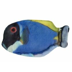 Poisson à l'herbe à chat Blue Tang