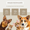 Poudre de propolis chien chat 100 g Floralpina