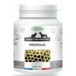 Poudre de propolis chien chat 100 g Floralpina