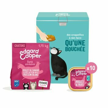 Coffret découverte pour chaton Edgard et Cooper Coffret découverte pour chaton Edgard et Cooper