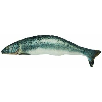 Poisson Saumon avec herbe à chat Salmon