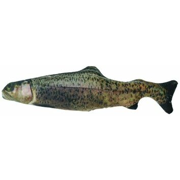 Poisson Truite à l'herbe à chat Rainbow Trout