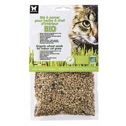 Blé Bio à semer pour herbe à chat 100 g de Martin Sellier Blé Bio à semer pour herbe à chat 100 g de Martin Sellier