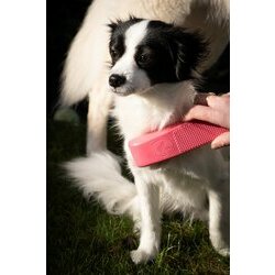 Brosse de toilettage ergonomique 3 en 1 par Holland Animal Care Brosse de toilettage ergonomique 3 en 1 par Holland Animal Care