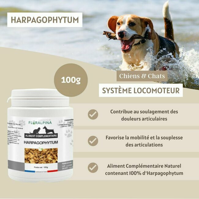 Harpagophytum articulations chien chat 100 g Floralpina