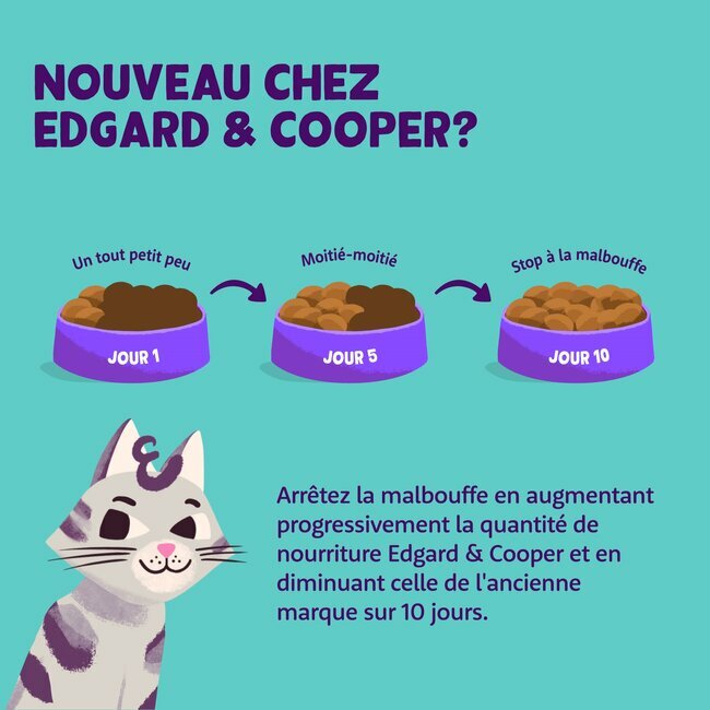 Alimentation Du Chat Patee En Boites Ou En Sachets Morceaux En Sauce Chat Sans Cereales 18 X 85 G Edgard Et Cooper Albert Le Chien