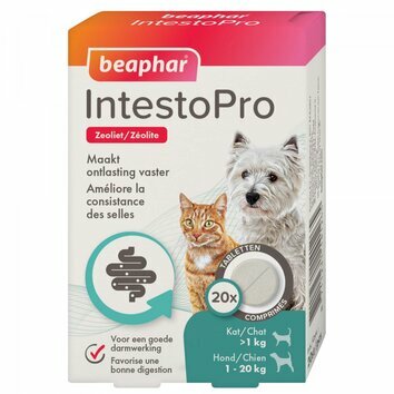 IntestoPro consistance des selles chat et chien Beaphar IntestoPro consistance des selles chat et chien Beaphar