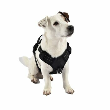 Harnais rando walk tout terrain pour chien Bobby Harnais rando walk tout terrain pour chien Bobby