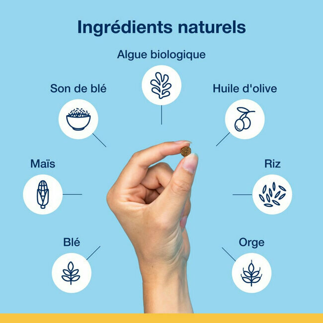 PlaqueOff Dental Croq' Veggie Chats anti-tartre ANTI GASPI 60 g Buccosanté